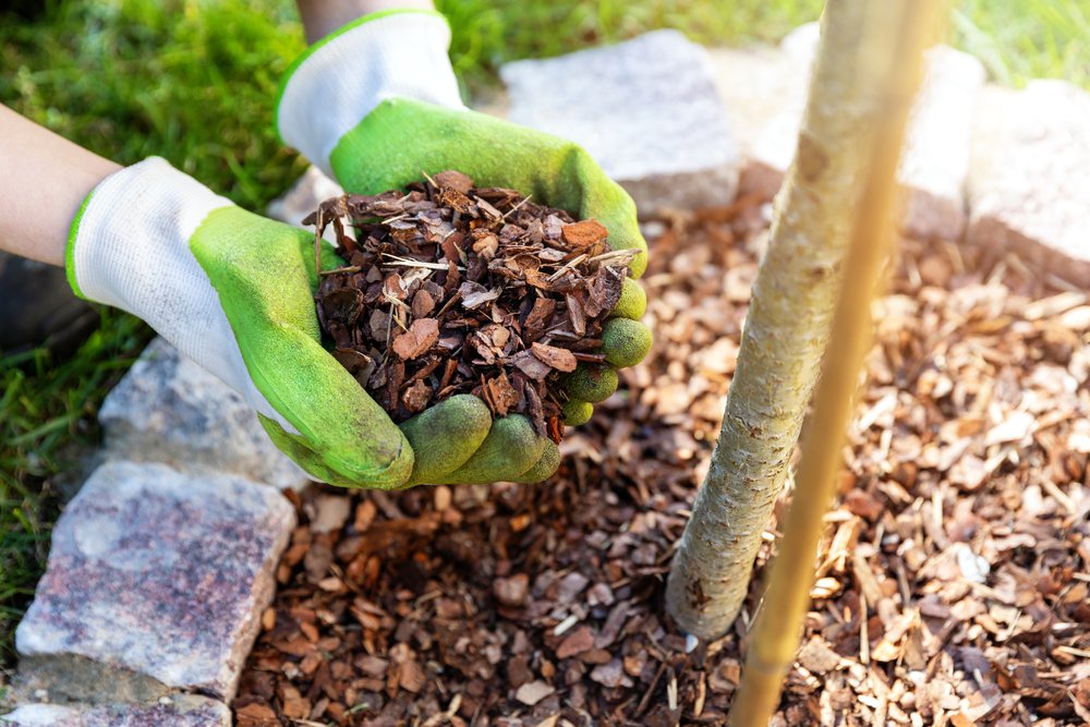 3 mulching